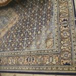 588 4159 CARPET